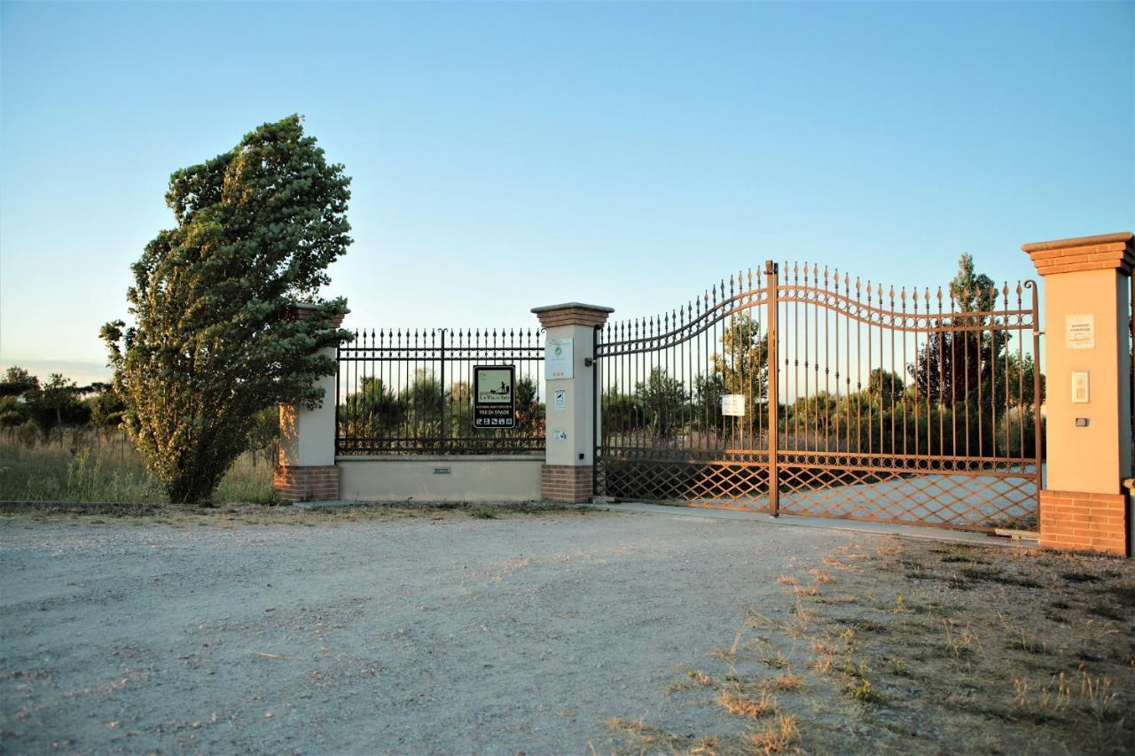 סאביו די רוונה Agriturismo Tre Di Spade מראה חיצוני תמונה